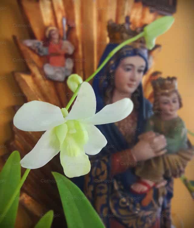 Our Lady of Perpetual Help - Catholic stock images - Photo by michaelantonio
