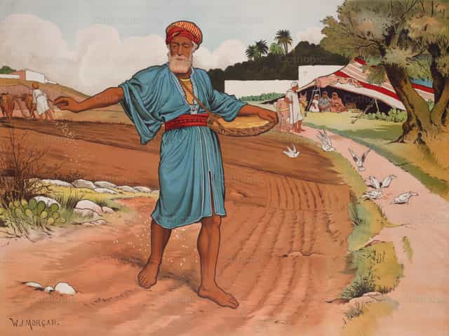 “看哪，有个撒种的人出去撒种” - 天主教图库图片 - 摄影： Restored Christian Art