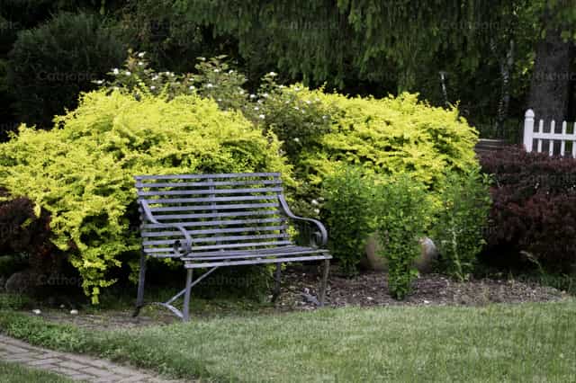 Banca en el jardín - Banco de imágenes católicas - Fotografía por Sophia Bauer