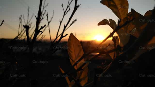 Sunset - Catholic stock images