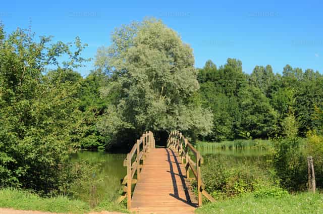 Brücken bauen - Katholische Stockfotos