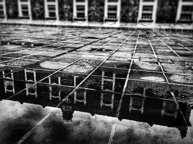 Alma Mater - Immagini stock cattoliche - Foto di Arturo Dorantes