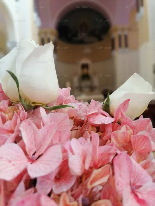 Flores a tus pies - Banco de imágenes católicas - Fotografía por Milly LEON GARCIA