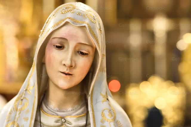 Mother who intercedes for sinners - Catholic stock images - Photo by Julián Iglesias
