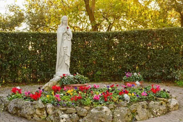 Flores para la Virgen María - Banco de imágenes católicas - Fotografía por Cesar Adrian Hernandez Morales