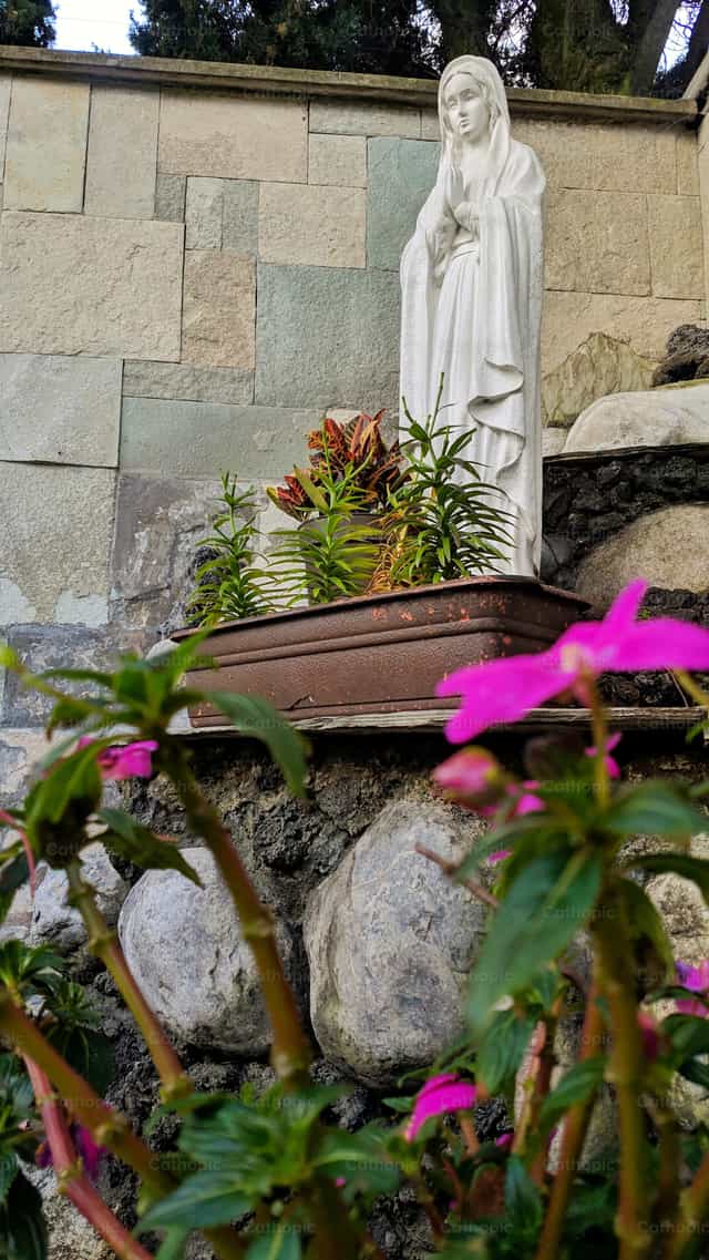 Visite à Marie - Images catholiques de stock