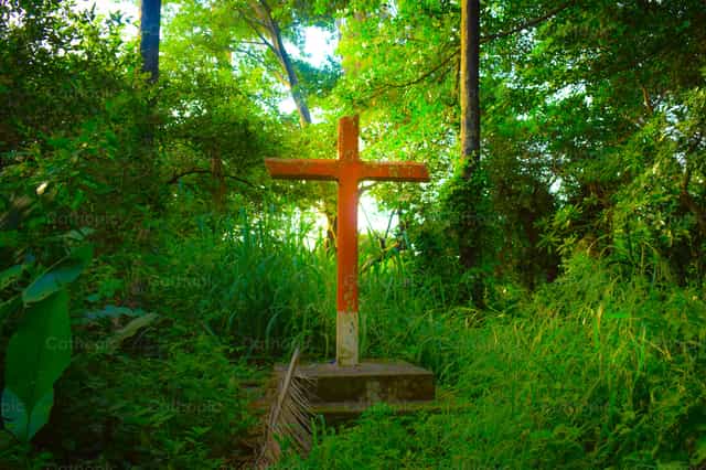 Cruz en el bosque - Banco de imágenes católicas