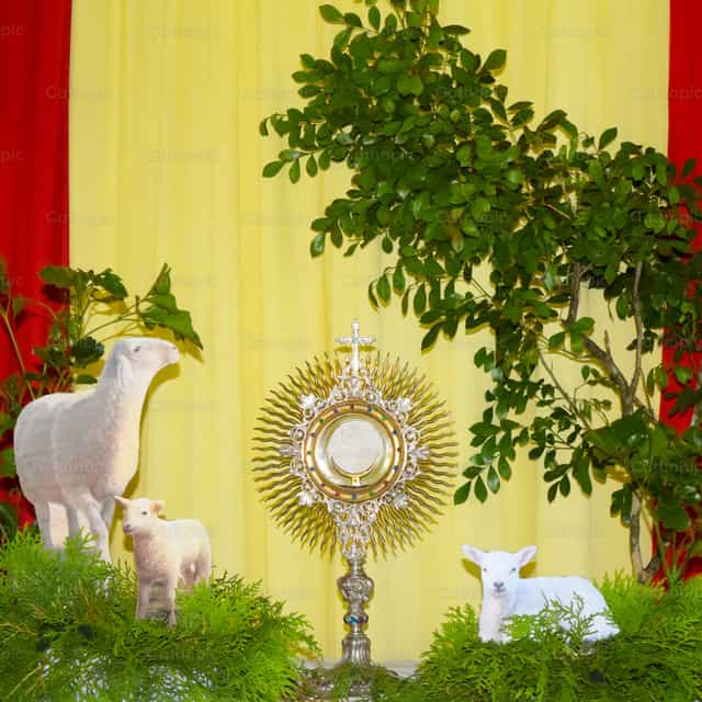 Lamm Gottes - Katholische Stockfotos
