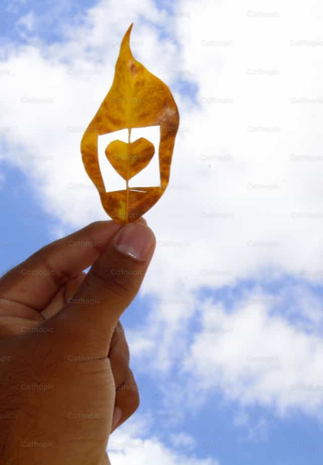 Feuilles en forme de cœur - Images catholiques de stock