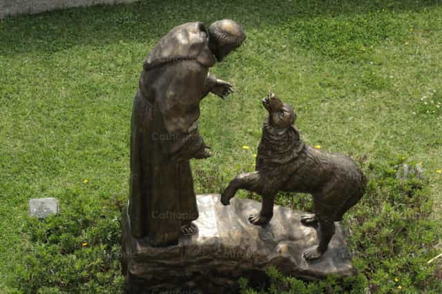 Hermano Lobo - Banco de imágenes católicas