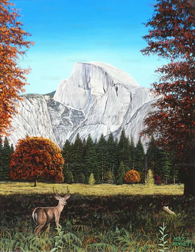 Half Dome - Katolickie zdjęcia stockowe - Zdjęcie: Mike Bennett