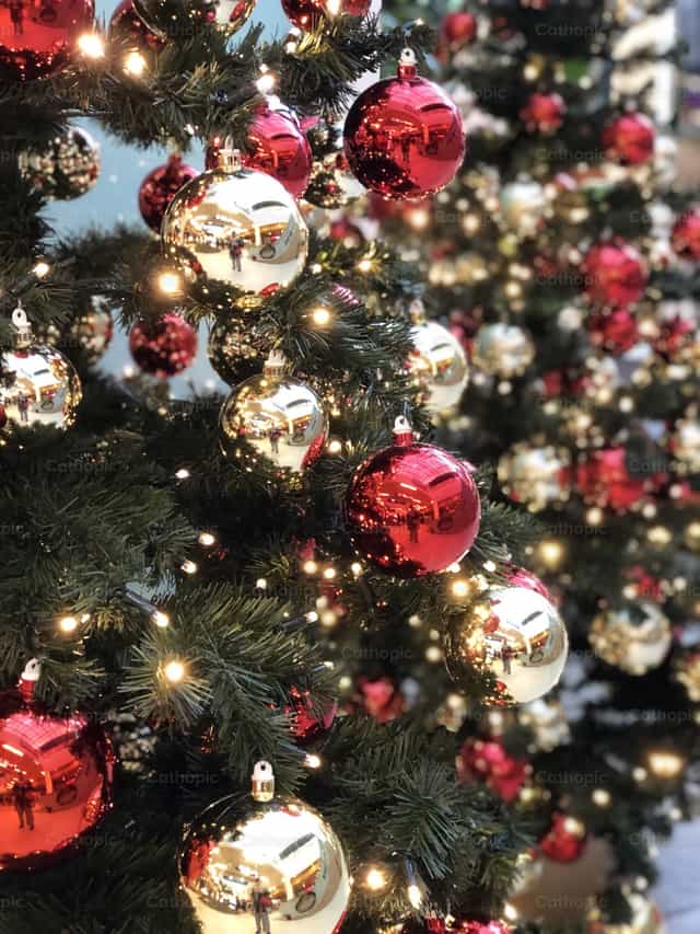 Weihnachtsbäume - Katholische Stockfotos