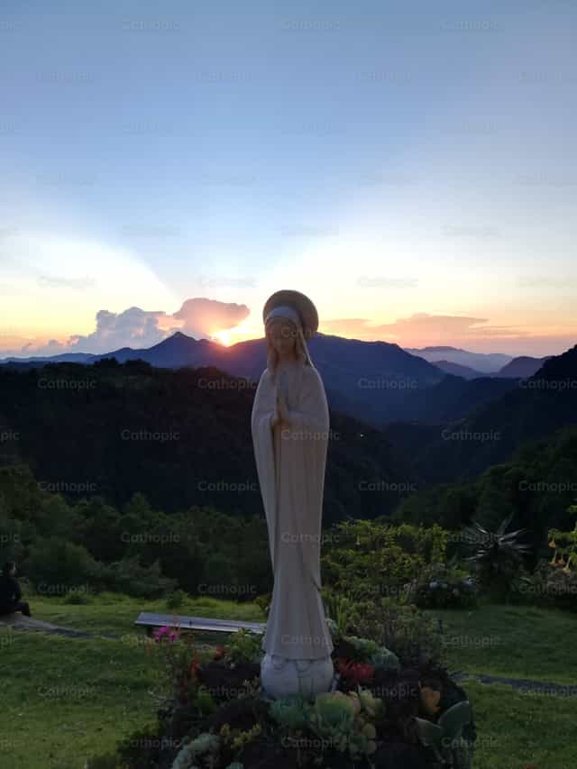 Immaculate Mother - Catholic stock images