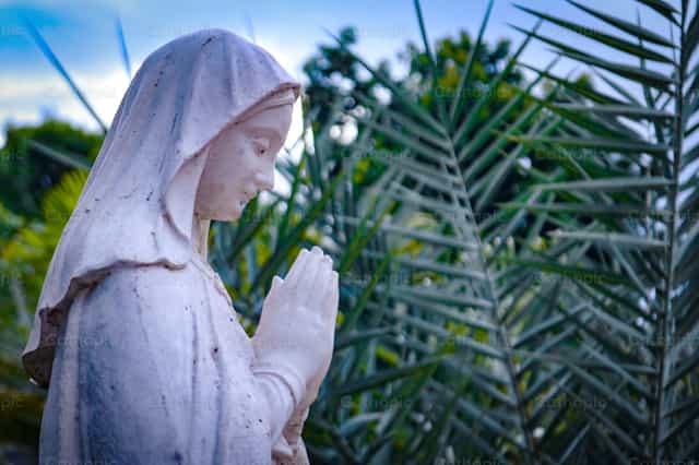 Virgen Maria - Banco de imágenes católicas - Fotografía por Luis Felipe Tun