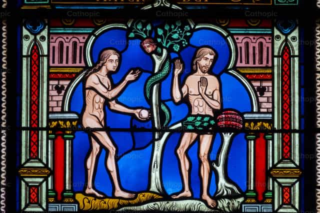 Adam and Eve in paradise tempted by the snake - Catholic stock images - Photo by Joan Sutter