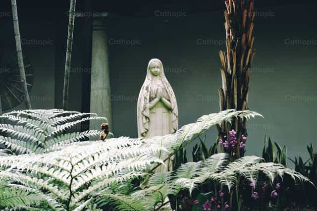 Virgin Mary - Catholic stock images - Photo by Génesis Marior