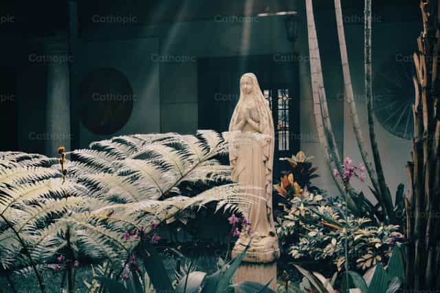 Madre de Dios - Banco de imágenes católicas