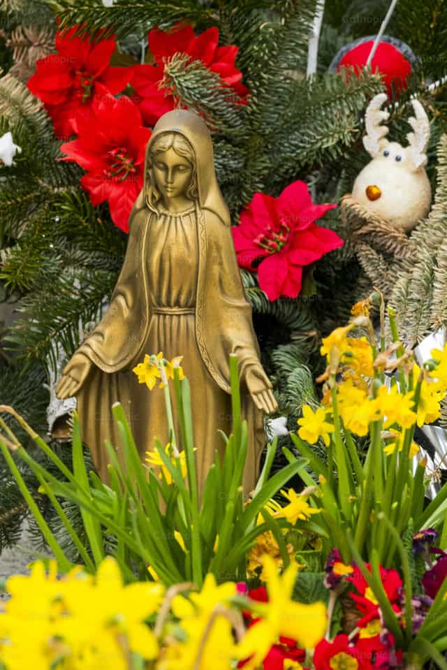 María bendiciendo rodeada de flores - Banco de imágenes católicas - Fotografía por Joan Sutter