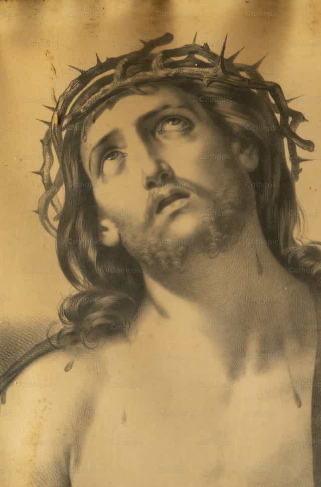 Portret van Jezus Christus met de doornenkroon - Katholieke stockfoto's - Foto door Joan Sutter