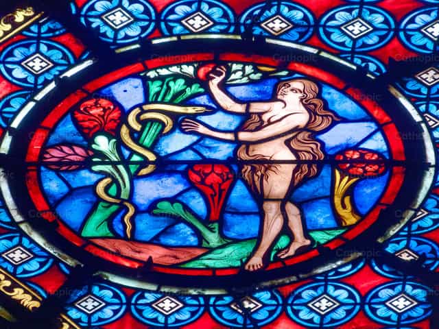 Eva en el paraíso tentada por la serpiente - Banco de imágenes católicas - Fotografía por Joan Sutter