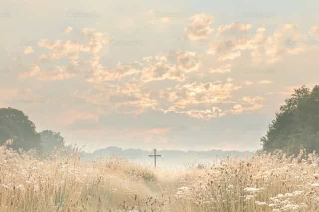 Namumulaklak na tanawin na may krus - Mga Catholic stock image - Larawan ni Carolina BR
