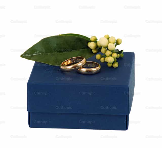 Caixa azul com alianças de casamento - Imagens católicas de stock - Foto de Antonio Gravante