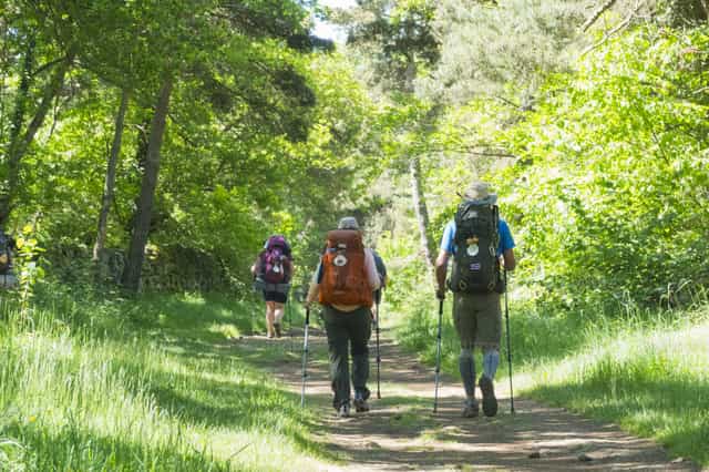 Pilgrims on the Way of Santiago de Compostela - Catholic stock images - Photo by Joan Sutter