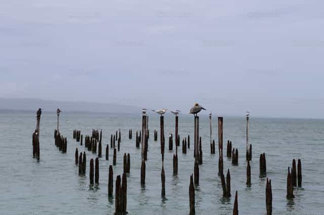 Momentos de quietud - Banco de imágenes católicas - Fotografía por Pablo Meza