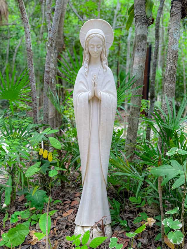 Vierge Marie - Images catholiques de stock - Photo de Luis Felipe Tun