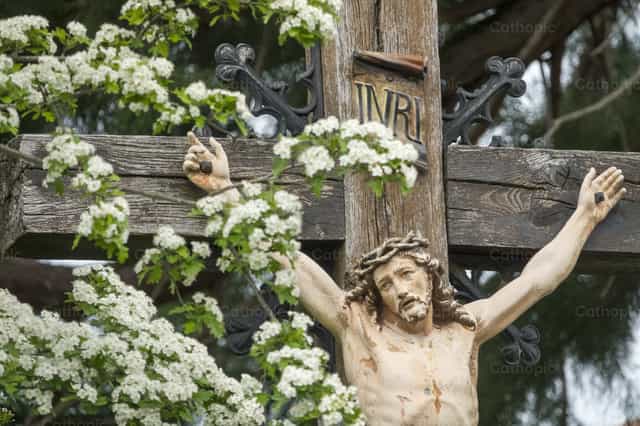 Jesus Christ crucified - Catholic stock images - Photo by Joan Sutter