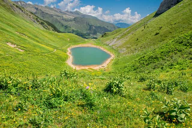 Lago Branchino con flores en primavera - Banco de imágenes católicas - Fotografía por Pierluigi Palazzi