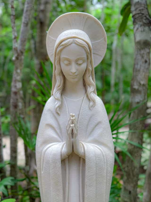 Sainte Marie - Images catholiques de stock - Photo de Luis Felipe Tun