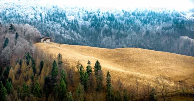 Granja de montaña con árboles nevados - Banco de imágenes católicas - Fotografía por Pierluigi Palazzi