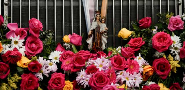 María entre flores - Banco de imágenes católicas - Fotografía por Carolina BR