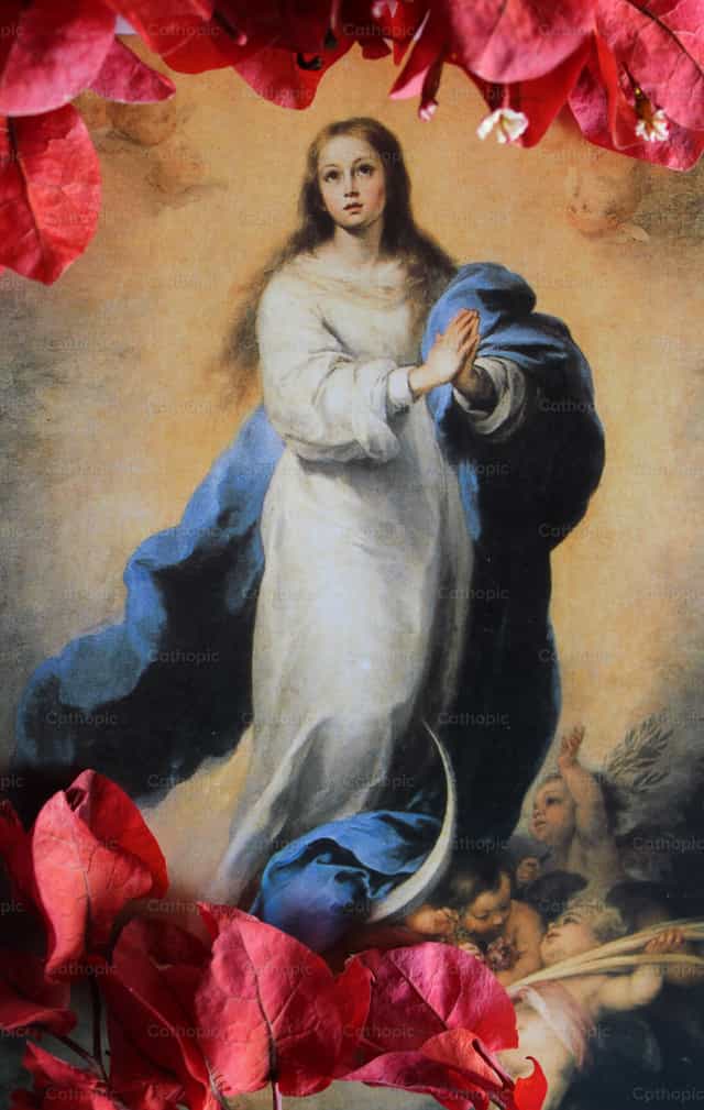 Virgin assumed into heaven - Catholic stock images