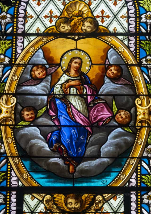 Asunción de María - Banco de imágenes católicas - Fotografía por Joan Sutter