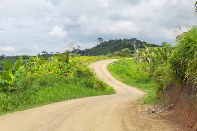 Camino rural en la selva peruana - Banco de imágenes católicas - Fotografía por Diócesis de Córdoba