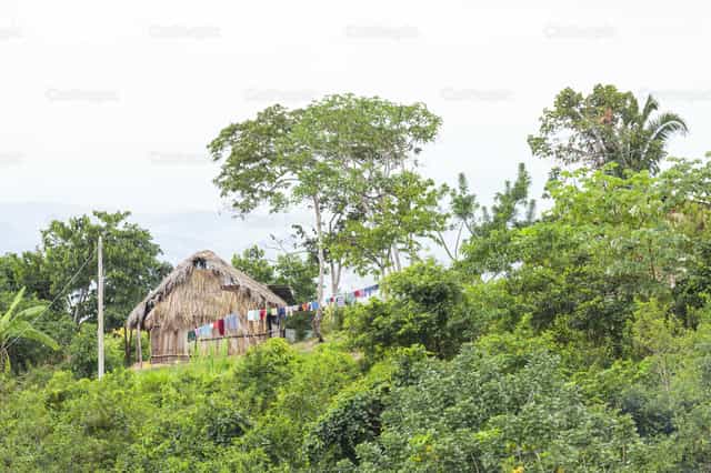 Rustikale Behausung im peruanischen Dschungel - Katholische Stockfotos