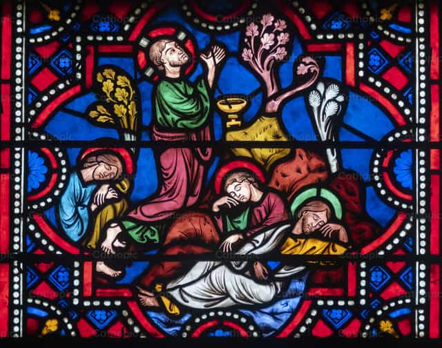 Jesus im Garten von Gethsemane - Katholische Stockfotos - Foto von Joan Sutter