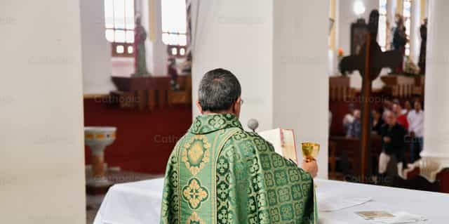 Apresentação do vinho antes da consagração - Imagens católicas de stock - Foto de Carolina BR