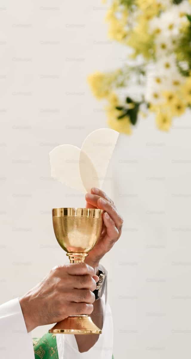 Pan y Vino el cuerpo y la sangre de Cristo - Banco de imágenes católicas - Fotografía por Carolina BR