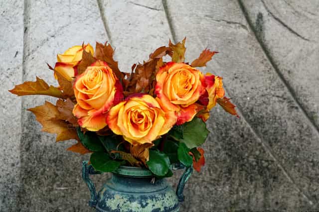 Tumba en flor en un cementerio - Banco de imágenes católicas - Fotografía por Joan Sutter