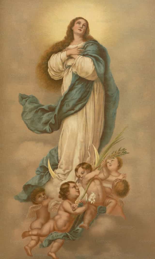 A szeplőtelen fogantatás - Katolikus stockképek - Fotó: Restored Christian Art