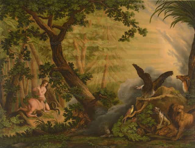 Áteredő bűn - Katolikus stockképek - Fotó: Restored Christian Art
