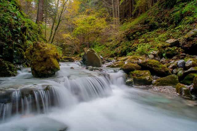 Ilog sa kakahuyan - Mga Catholic stock image - Larawan ni Pierluigi Palazzi