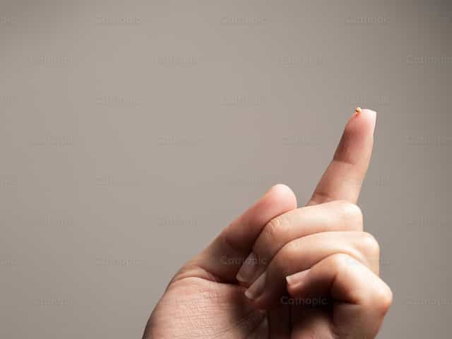 If you had faith like a mustard seed - Catholic stock images - Photo by Clina CG