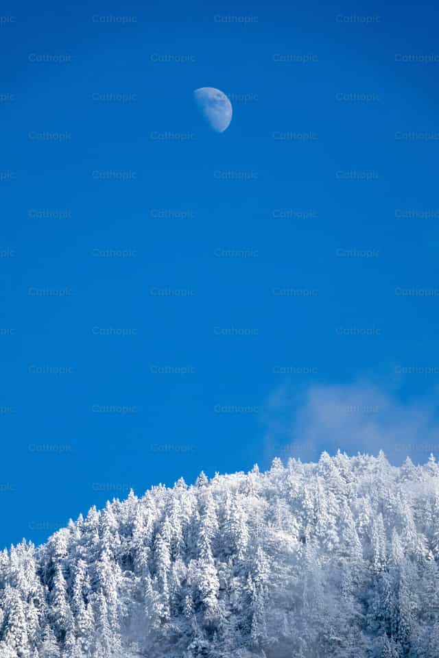 Luna creciente sobre árboles escarchados en invierno - Banco de imágenes católicas - Fotografía por Joan Sutter