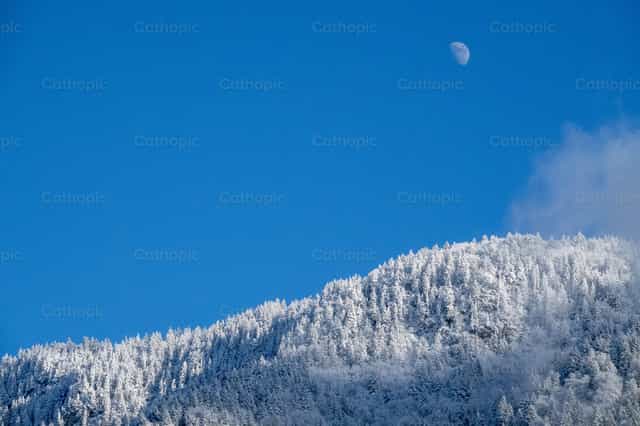 Luna creciente sobre árboles escarchados en invierno - Banco de imágenes católicas - Fotografía por Joan Sutter