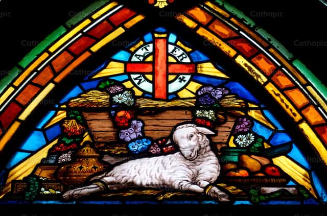 Agnus Dei o Cordero de Dios - Banco de imágenes católicas - Fotografía por Joan Sutter