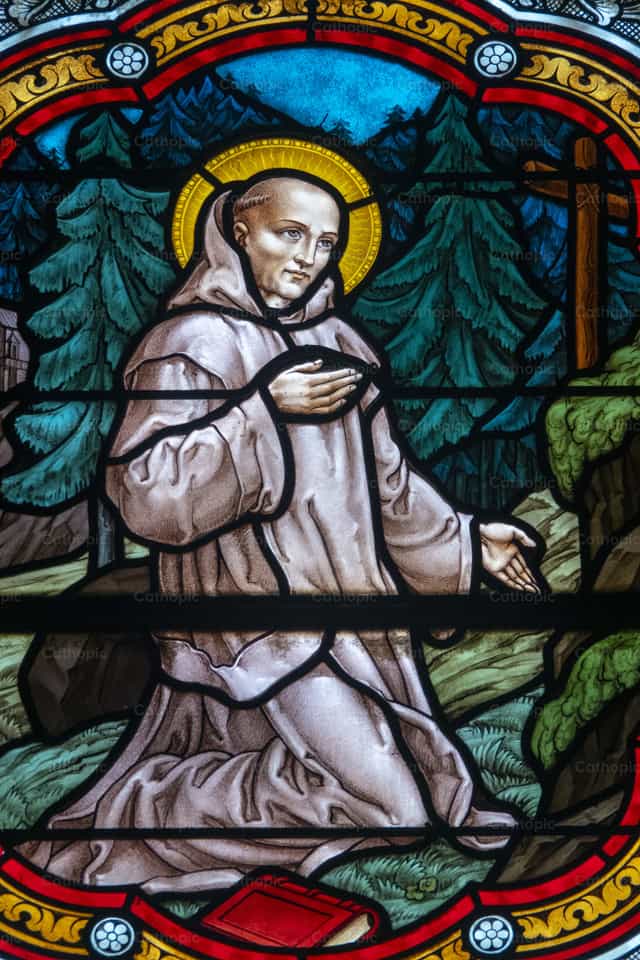San Bruno - Mga Catholic stock image - Larawan ni Joan Sutter